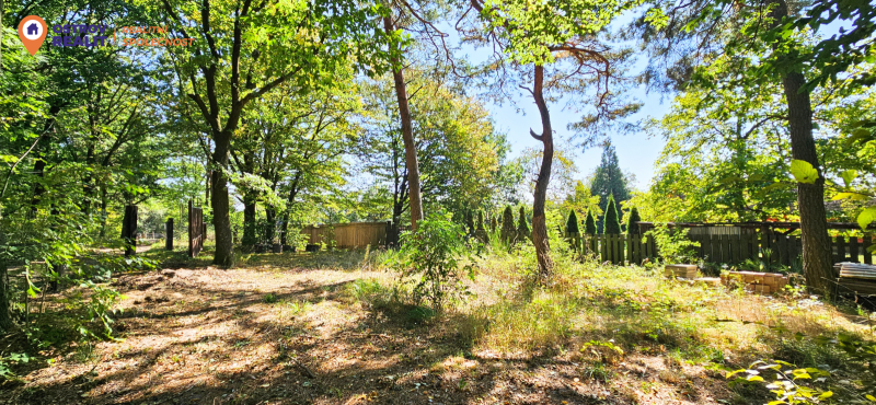 Prodej, rodinný dům, pozemek 3 181 m², Suchdol - Labutice