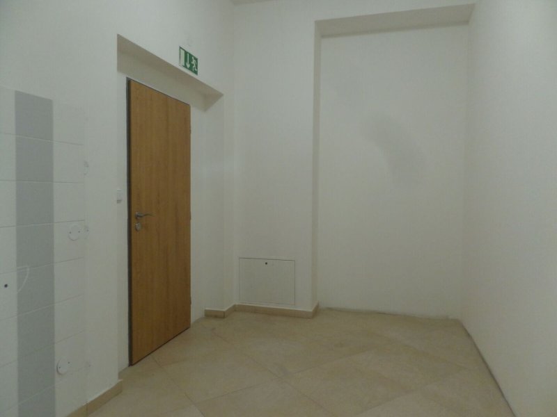 Pronájem, Byt 1+kk,  42 m², Postřelmov