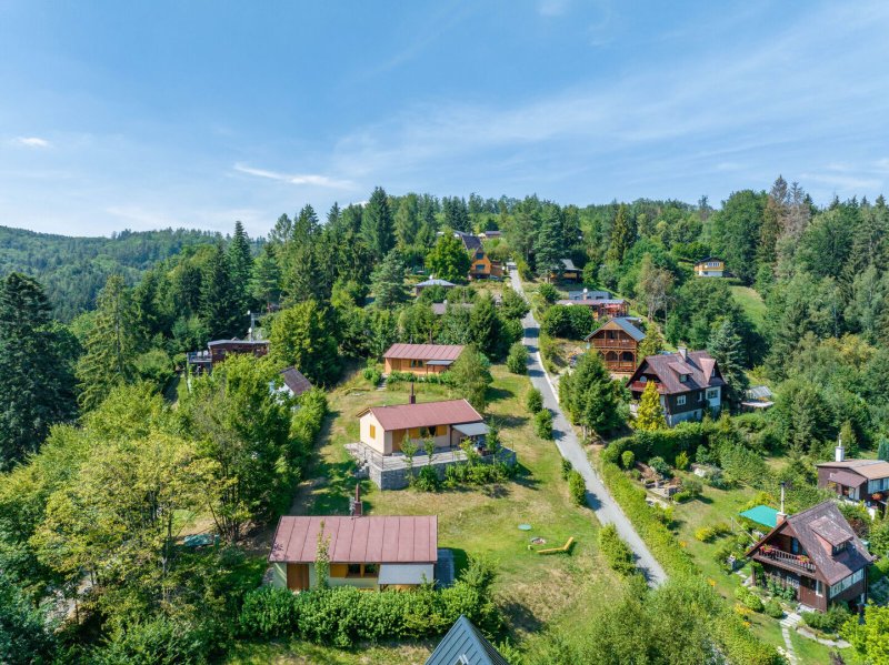 Prodej, chata, 662 m2, Zábřeh - Dolní Bušínov