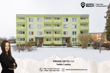 Prodej bytu 1+1, 41 m2, Velké Losiny